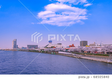 隅田川と桜並木　都市風景 68505840