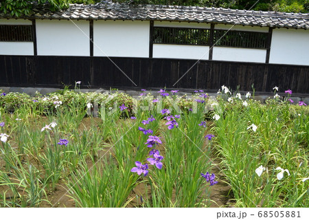 加茂荘花鳥園 加茂荘花鳥園 68505881
