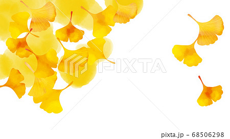 いちょうや木の葉の秋の背景素材のイラスト素材
