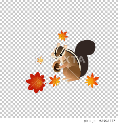 秋の紅葉とシマリス 68508117