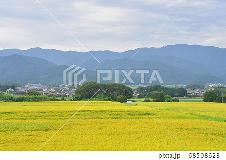 米原駅から尾張一宮駅までの東海道本線車窓からの風景 68508623