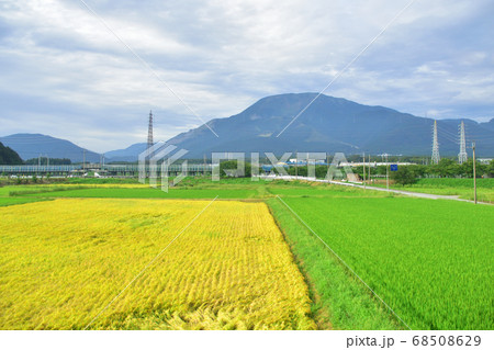 米原駅から尾張一宮駅までの東海道本線車窓からの風景 68508629