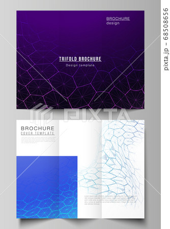 Vector layouts of creative covers design templates for trifold brochure or flyer. Digital technology and big data concept with hexagons, connecting dots and lines, polygonal science medical background 68508656