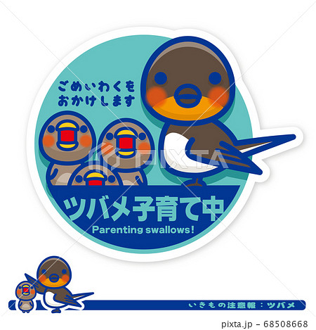 いきもの注意報：ツバメ子育て中サイン 68508668