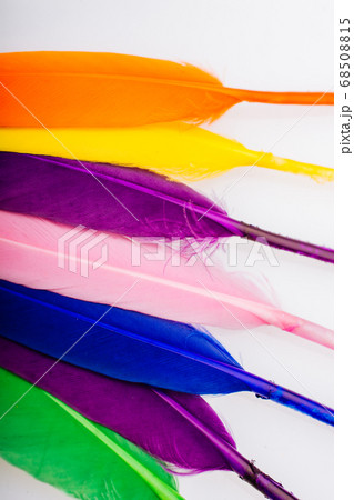 Studio shot photo colored bird feathers as texture Studio shot photo colored bird feathers as texture 68508815