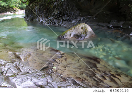 夏の中津川渓谷（猪苗代町・北塩原村） 68509116