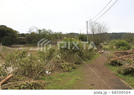 令和元年東日本台風で荒れた巾着田（氾濫：数日後） 68509504