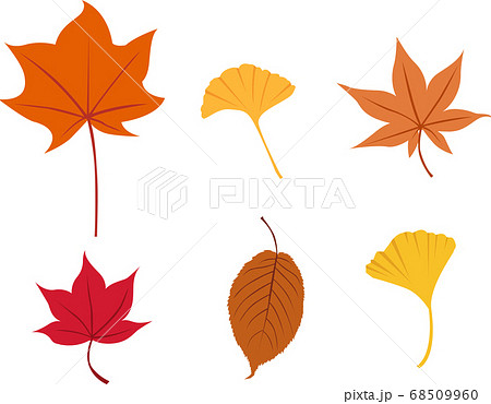 イラスト素材 紅葉 もみじ 秋 葉 セット パターン 和風 テクスチャ ベクターのイラスト素材