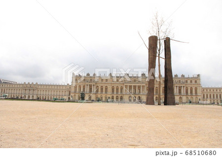 ベルサイユ宮殿の庭にある2本の大きな木 68510680