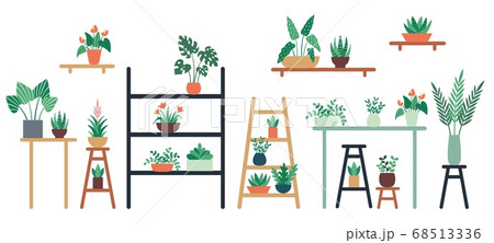 Houseplants standing on shelf, chair and table in ceramic pots. Home and office interior decor with foliage Houseplants standing on shelf, chair and table in ceramic pots. Home and office interior decor with foliage 68513336