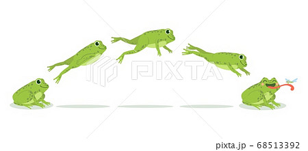 Frog Jump Various Frog Jumping Animation のイラスト素材