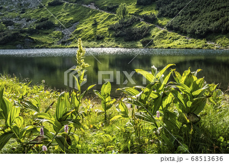Rohac tarn, Western Tatras, Slovakia, hiking theme 68513636