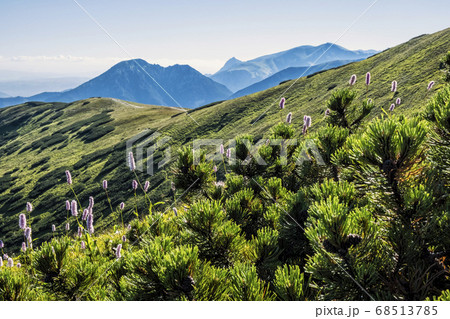 Western Tatras scenery from saddle Zabrat, 68513785