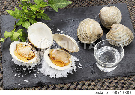 ホンビノスガイ ホンビノスガイ 68513883