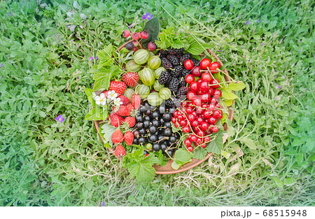 Ceramic bowl with assortment berries Ceramic bowl with assortment berries 68515948