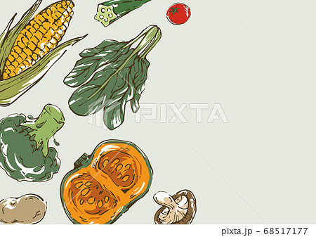 おしゃれな野菜のスケッチイラスト 背景のイラスト素材