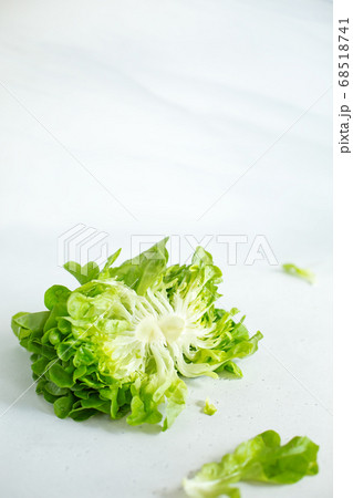 Fresh butter head of green lettuce leaves 68518741