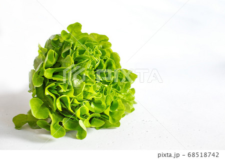 Fresh butter head of green lettuce leaves 68518742