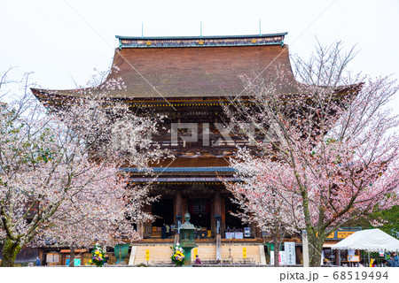 金峯山寺・本堂/蔵王堂と四本桜(奈良県吉野郡吉野町吉野山)2020年4月 金峯山寺・本堂/蔵王堂と四本桜(奈良県吉野郡吉野町吉野山)2020年4月 68519494