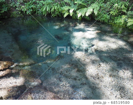 男池湧水群の写真素材