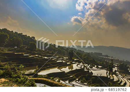 Top view of Yuanyang rice terraces in the evening 68519762