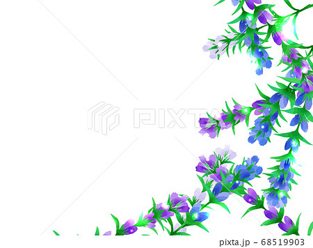 りんどうのイラスト背景のイラスト素材