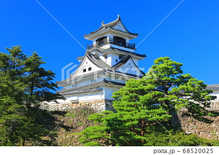 【高知県】快晴下の高知城天守閣 68520025