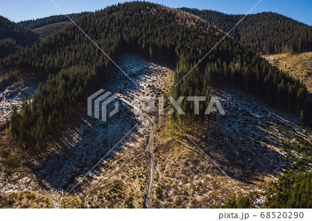 Morning in the mountains. Carpathian Ukraine, Europe. 68520290
