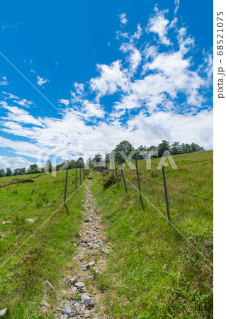 まきば公園（山梨県立八ヶ岳牧場） 68521075