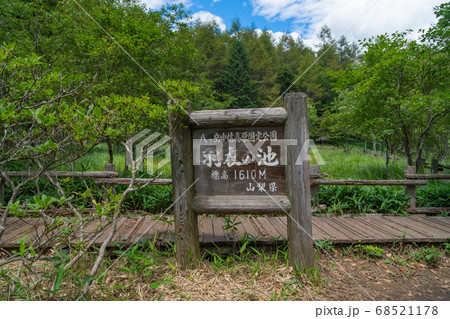 羽衣の池（八ヶ岳中信高原定公園） 68521178