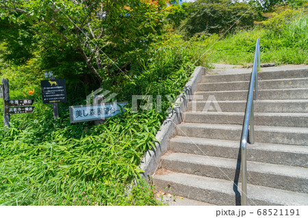 美し森の入口（八ヶ岳中信高原定公園） 68521191