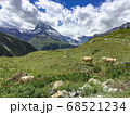 スイスの牧場 68521234