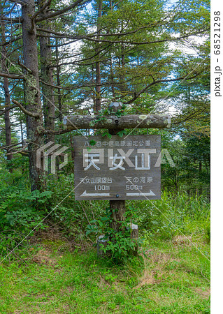 天女山山頂(八ヶ岳中信高原国定公園) 天女山山頂(八ヶ岳中信高原国定公園) 68521298