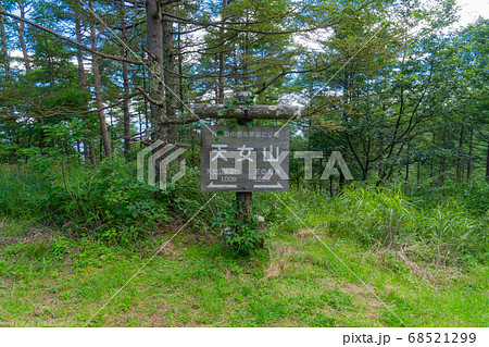 天女山山頂(八ヶ岳中信高原国定公園) 天女山山頂(八ヶ岳中信高原国定公園) 68521299