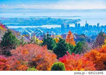 布引ハーブ園の紅葉と神戸の街並の写真素材