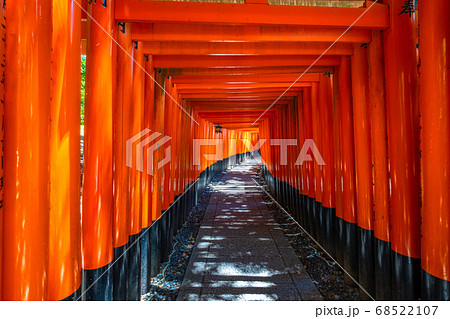 伏見稲荷大社の千本鳥居 伏見稲荷大社の千本鳥居 68522107