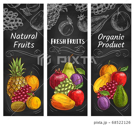 Fruits sketch banners, tropical farm market food 68522126