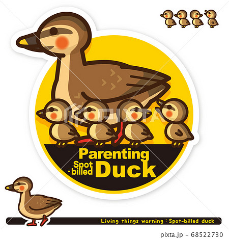 いきもの注意報 カルガモ子育て中サイン 英語 のイラスト素材