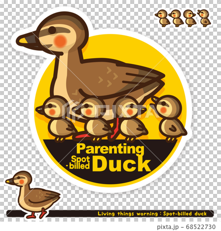 Spot-billed duck child-rearing sign (English) 68522730