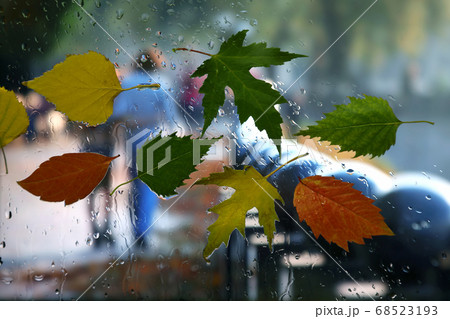 autumn leaves on a wet window on a background of rainy weather 68523193