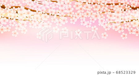 桜 春 花 背景 桜 春 花 背景 68523329