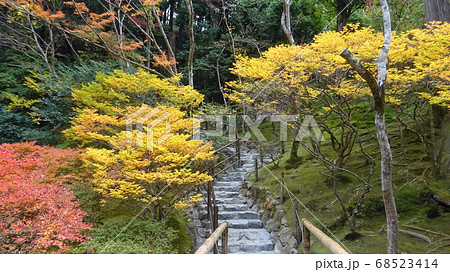 紅葉が美しい境内の石段 68523414