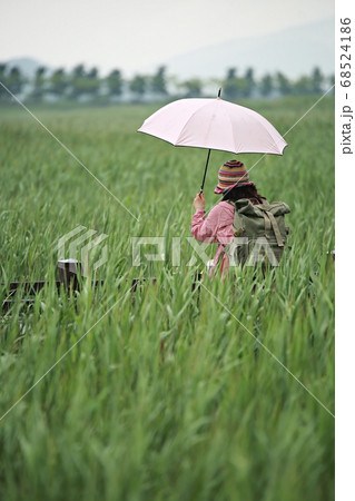 葦原 遊歩道 人物 68524186