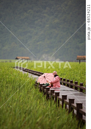 遊歩道 人物 女性 68524211