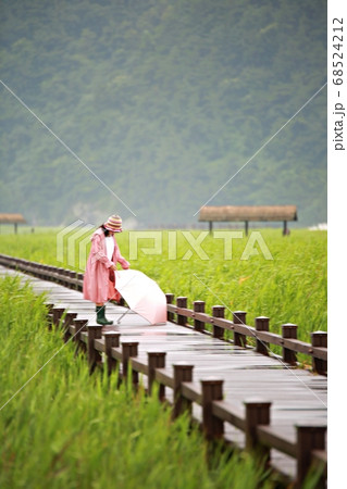 夏 木製 背景 68524212
