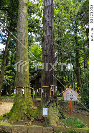 夏の間々田八幡宮 68525058