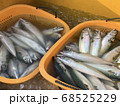 魚市場に水揚げされたサバなどの鮮魚 68525229