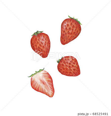 イチゴ 68525491
