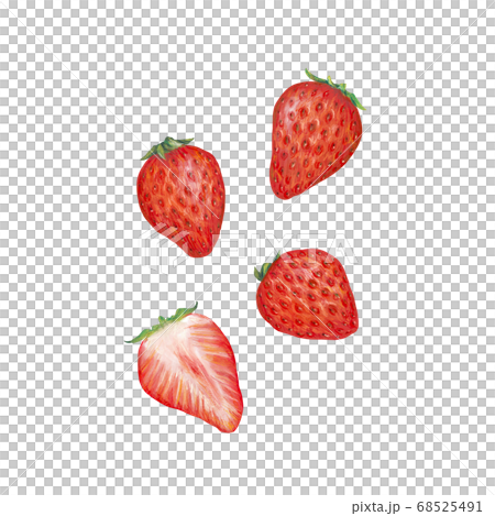 イチゴ 68525491