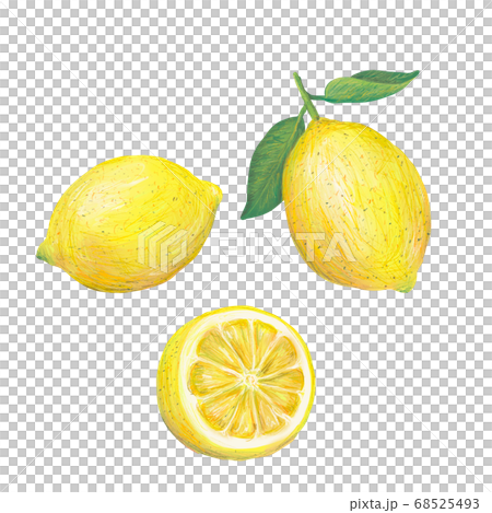 Lemon Lemon 68525493
